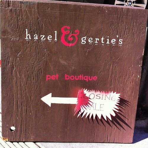 a pet boutique can’t catch a goddamn break in SF (Taken with Instagram)